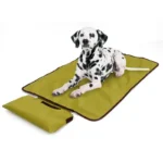 Tapis voyage chien 3