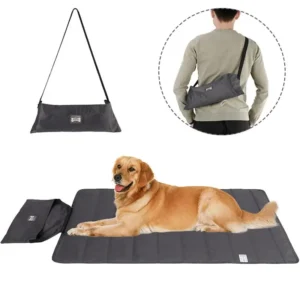 Tapis voyage chien 1