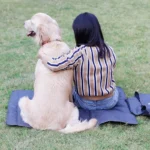 Tapis voyage chien 2